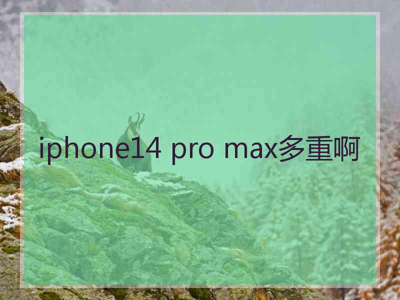 iphone14 pro max多重啊