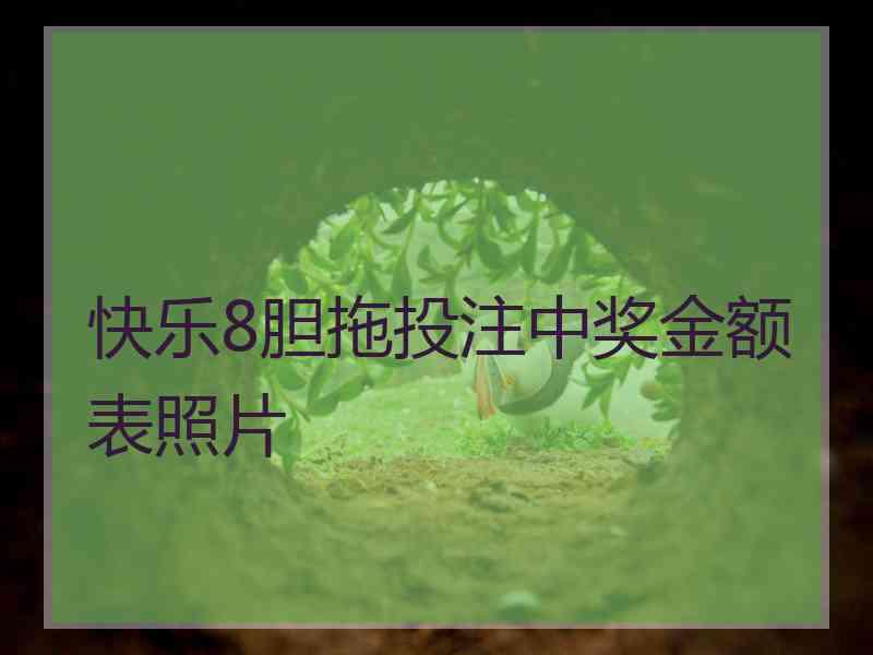 快乐8胆拖投注中奖金额表照片