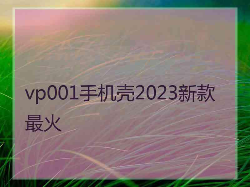 vp001手机壳2023新款最火