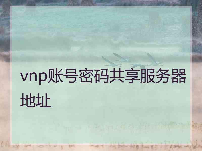 vnp账号密码共享服务器地址