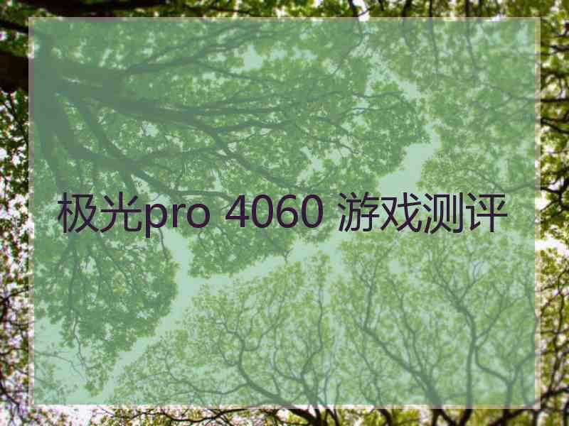 极光pro 4060 游戏测评