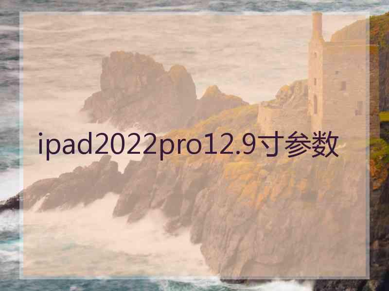 ipad2022pro12.9寸参数