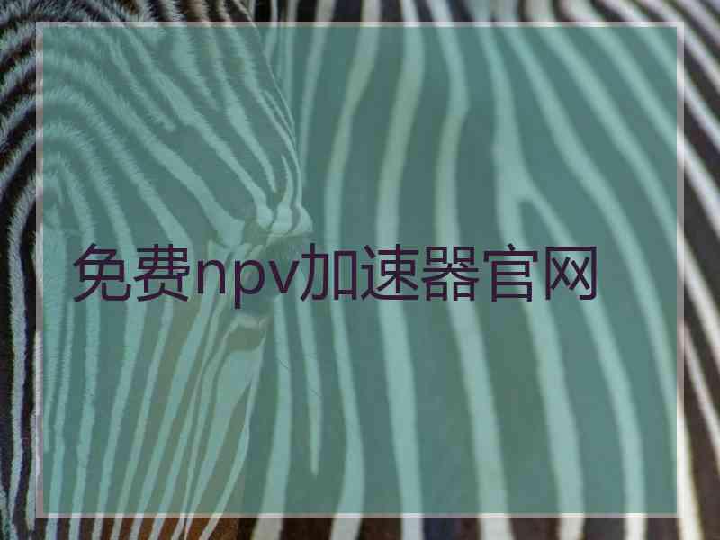 免费npv加速器官网