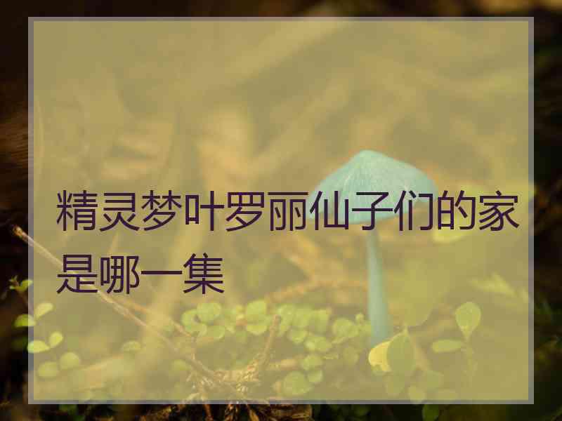 精灵梦叶罗丽仙子们的家是哪一集