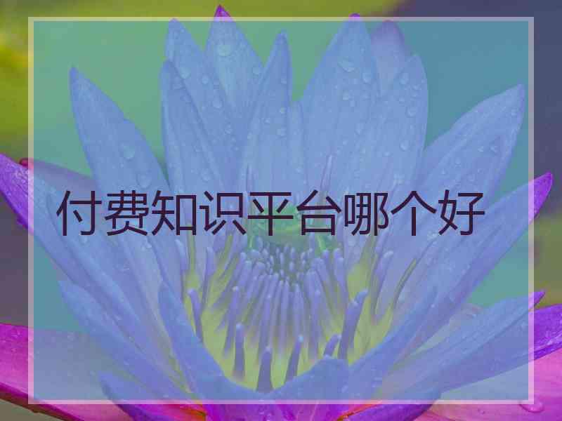 付费知识平台哪个好