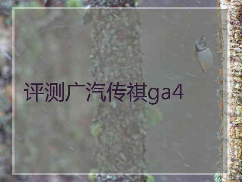 评测广汽传祺ga4