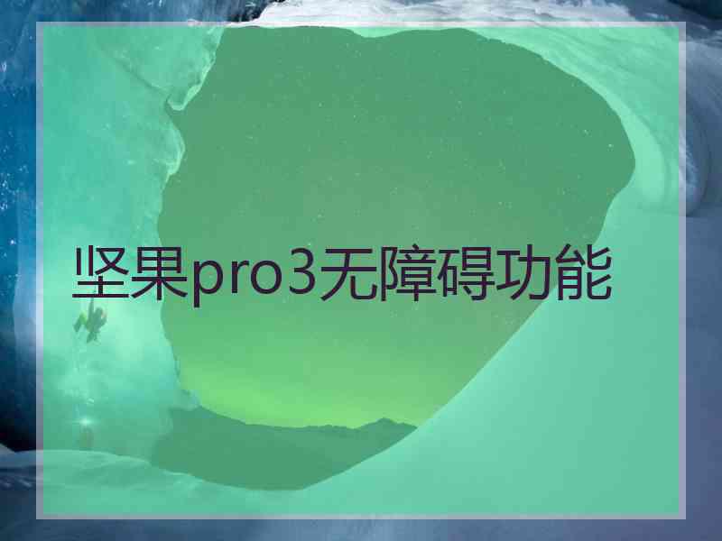 坚果pro3无障碍功能