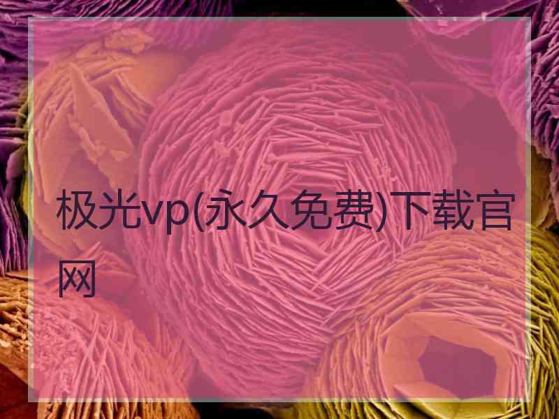 极光vp(永久免费)下载官网