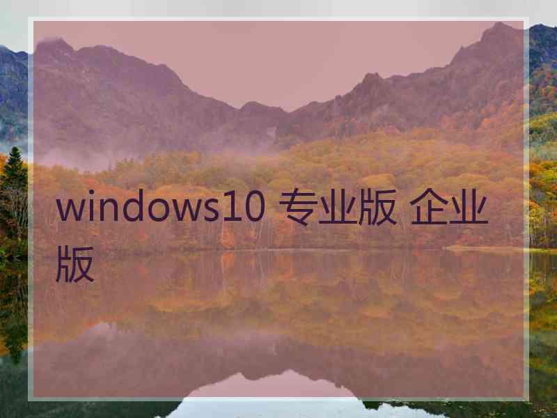 windows10 专业版 企业版