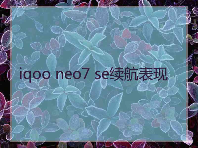 iqoo neo7 se续航表现