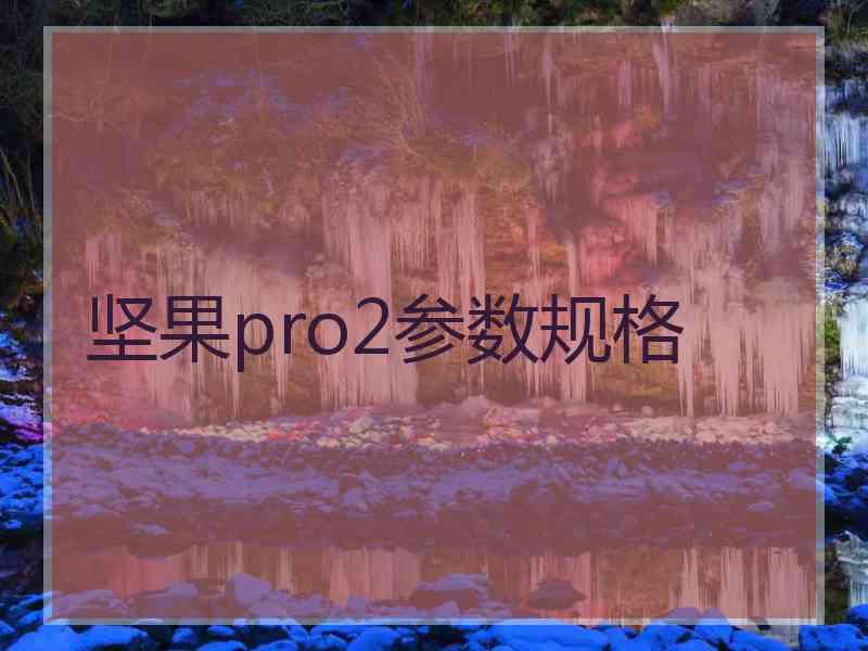 坚果pro2参数规格