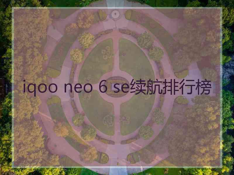 iqoo neo 6 se续航排行榜