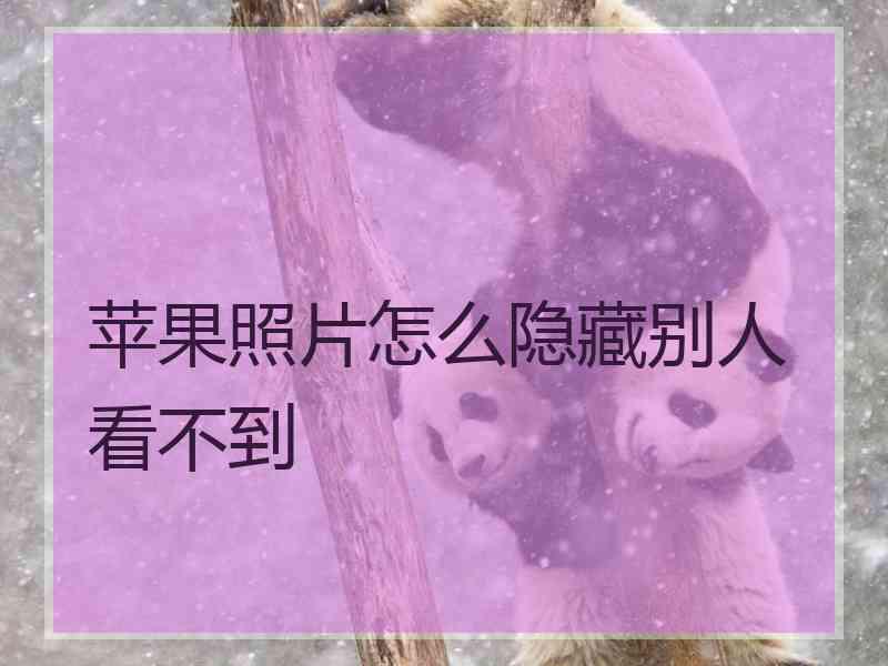 苹果照片怎么隐藏别人看不到