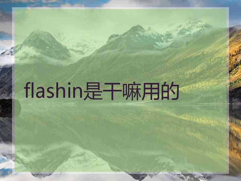 flashin是干嘛用的