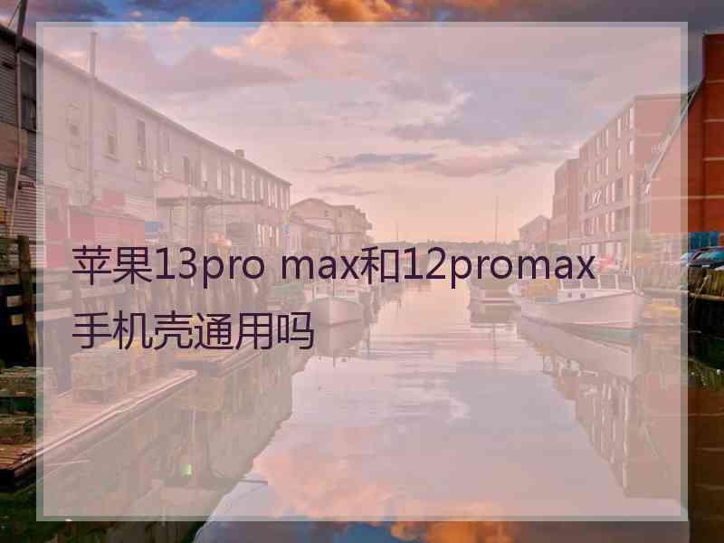 苹果13pro max和12promax手机壳通用吗