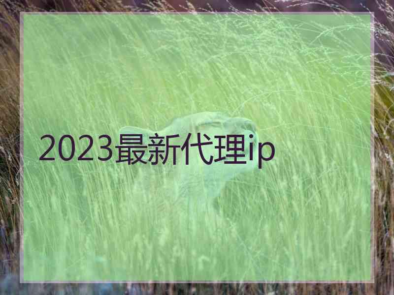 2023最新代理ip