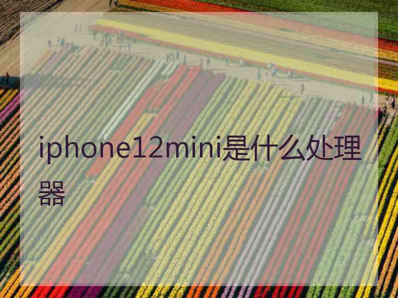 iphone12mini是什么处理器