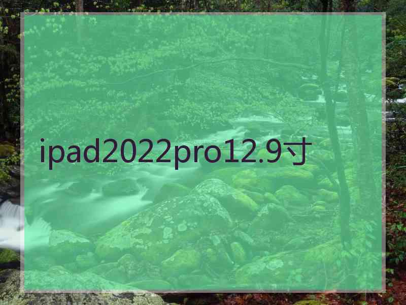 ipad2022pro12.9寸