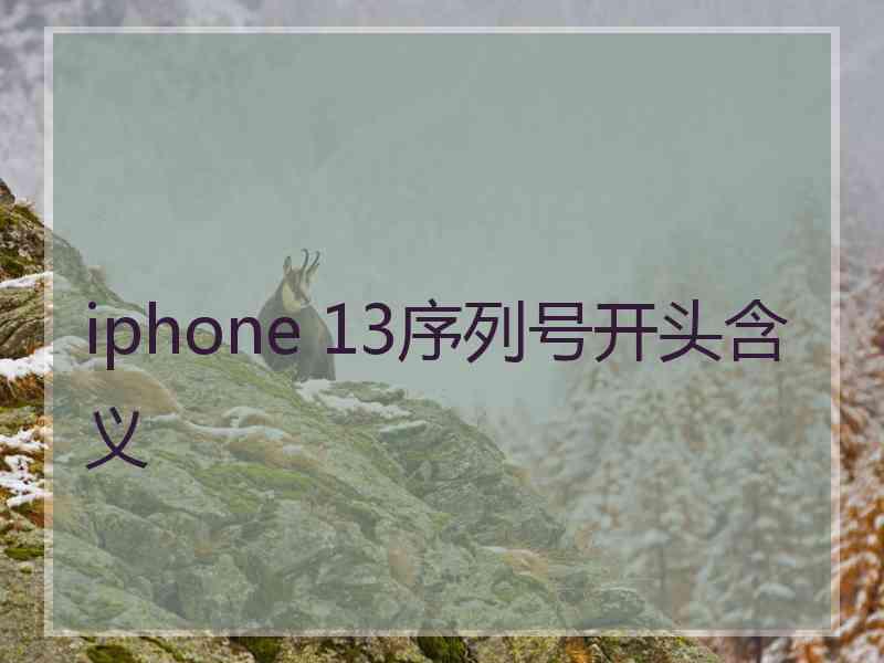 iphone 13序列号开头含义