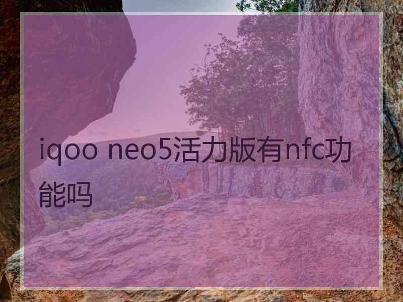 iqoo neo5活力版有nfc功能吗