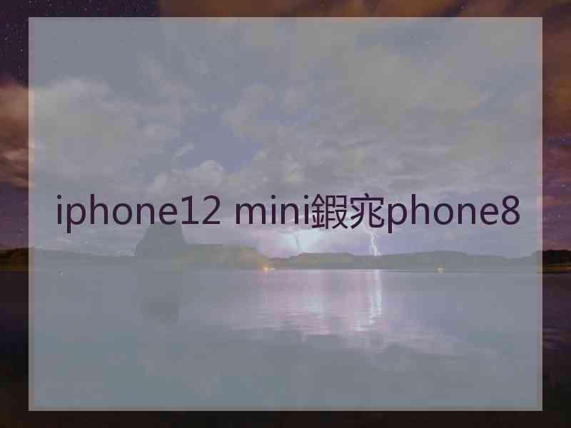 iphone12 mini鍜宨phone8