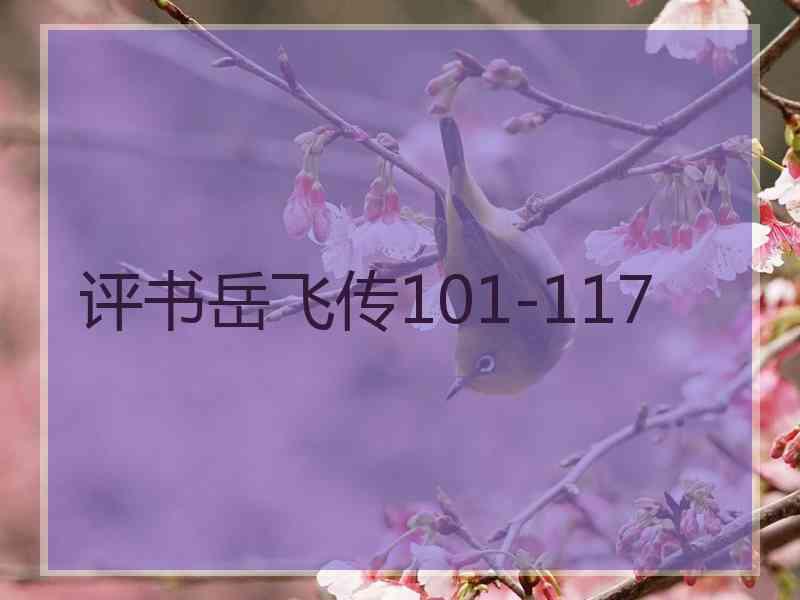 评书岳飞传101-117