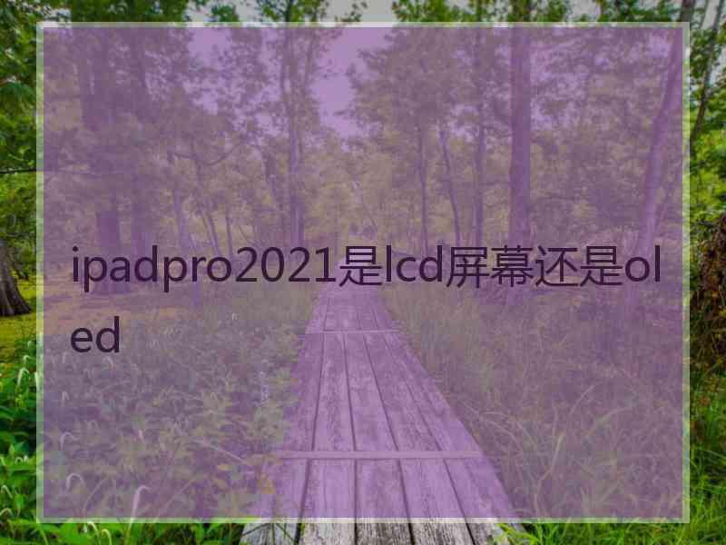 ipadpro2021是lcd屏幕还是oled