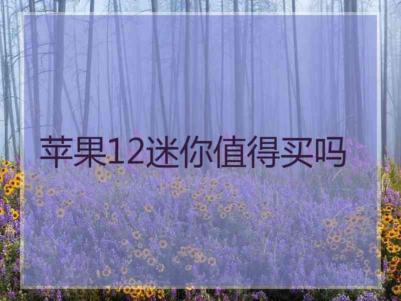 苹果12迷你值得买吗