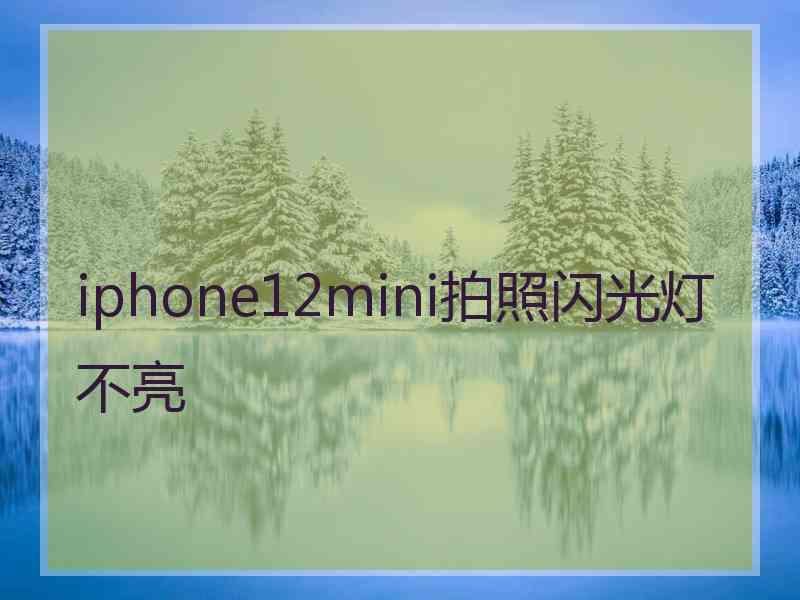 iphone12mini拍照闪光灯不亮