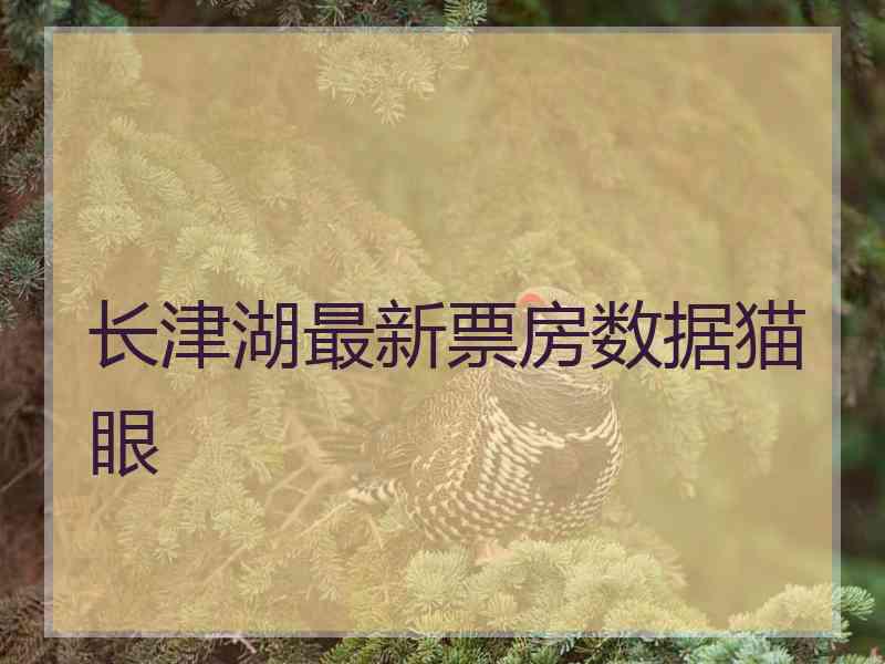 长津湖最新票房数据猫眼