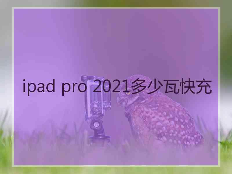 ipad pro 2021多少瓦快充