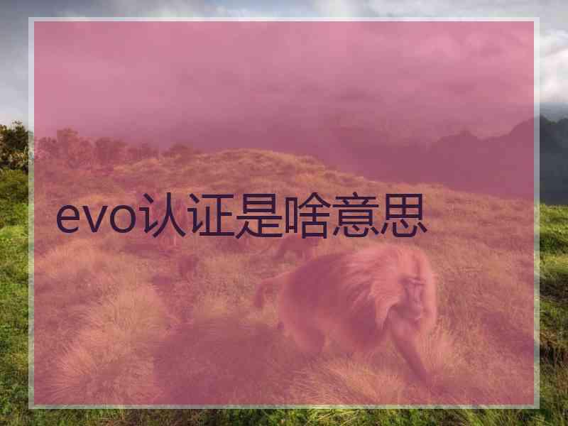 evo认证是啥意思