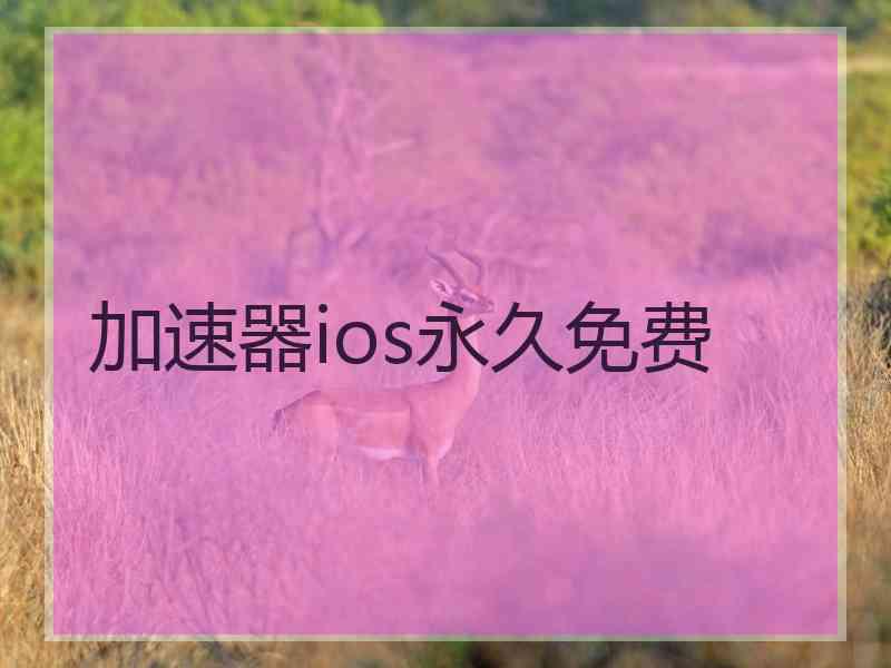 加速器ios永久免费