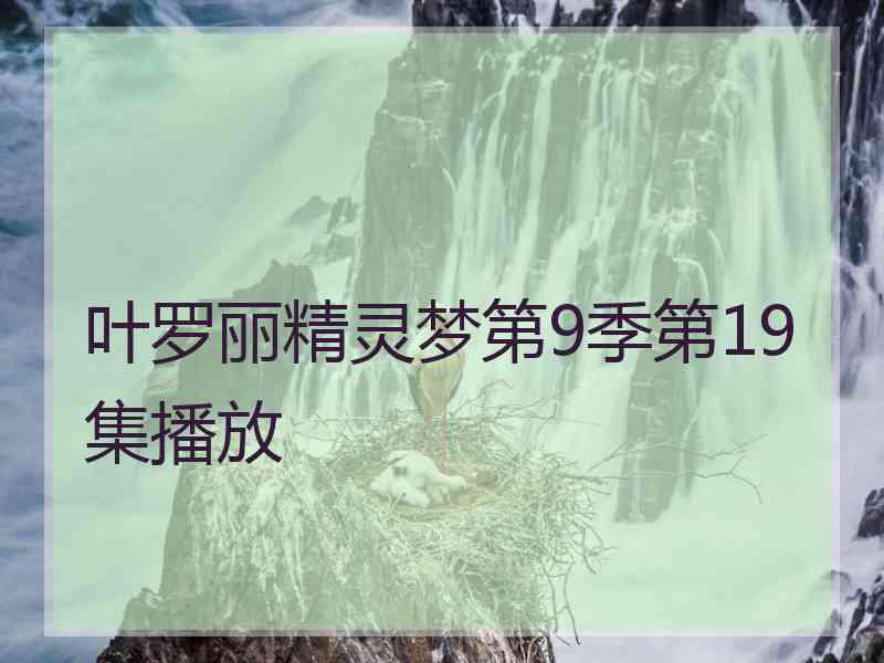 叶罗丽精灵梦第9季第19集播放