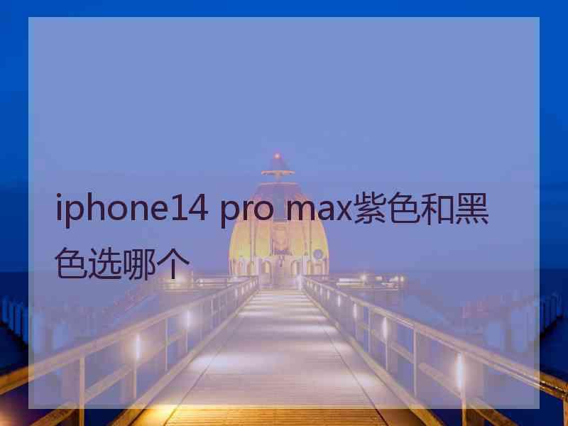 iphone14 pro max紫色和黑色选哪个