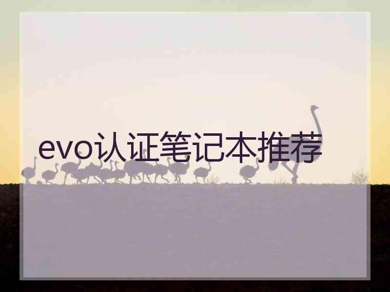 evo认证笔记本推荐