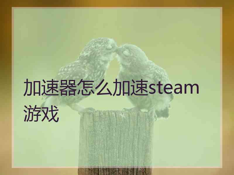 加速器怎么加速steam游戏