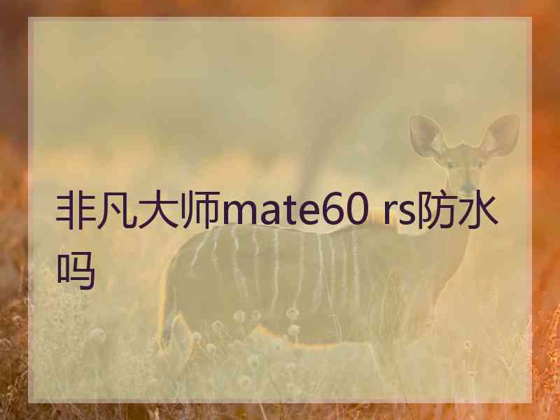 非凡大师mate60 rs防水吗