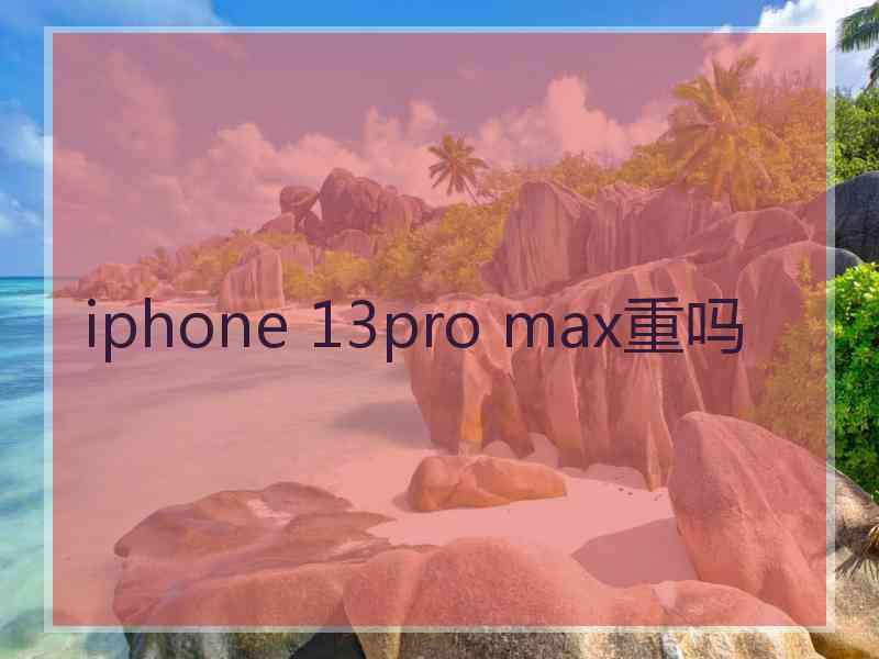 iphone 13pro max重吗