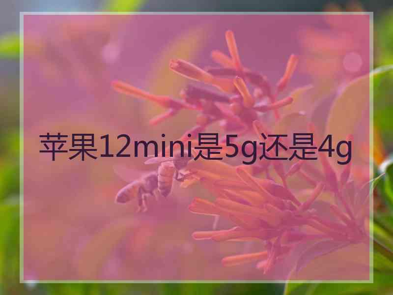 苹果12mini是5g还是4g