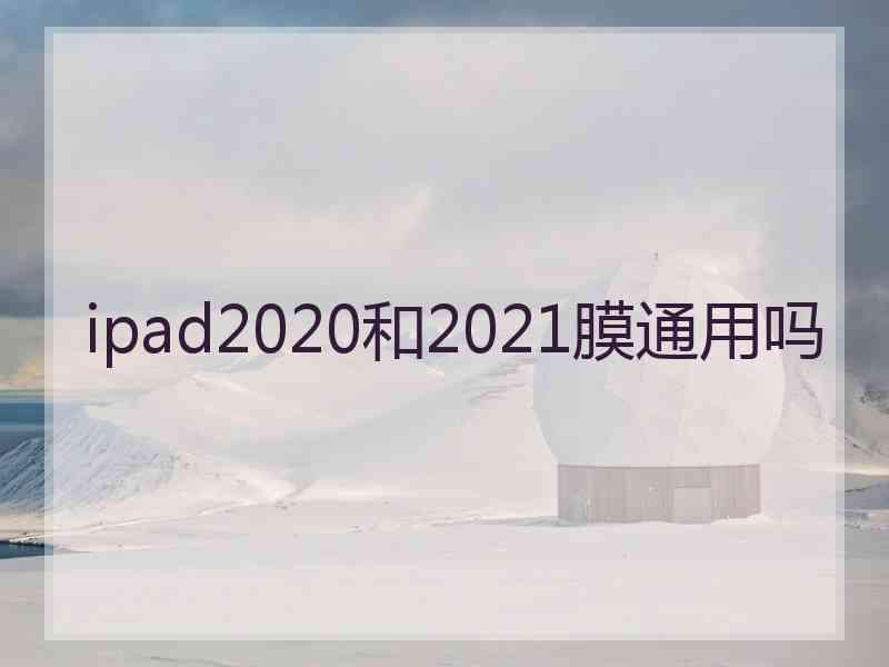 ipad2020和2021膜通用吗