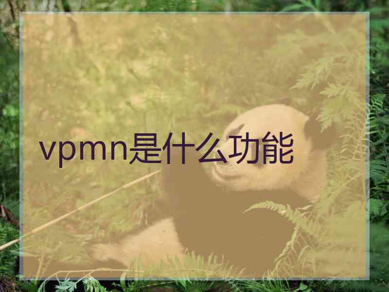 vpmn是什么功能