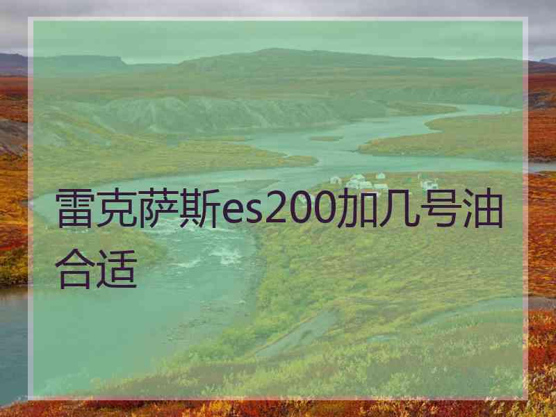 雷克萨斯es200加几号油合适