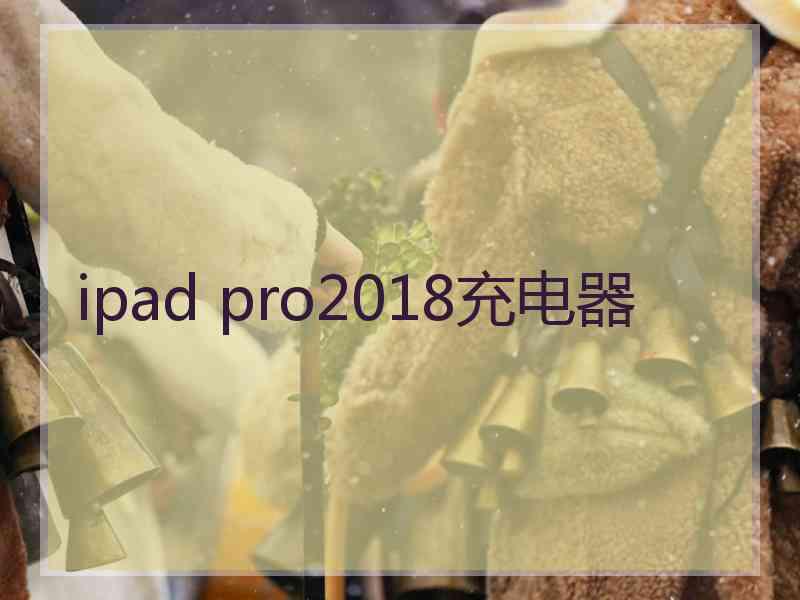 ipad pro2018充电器