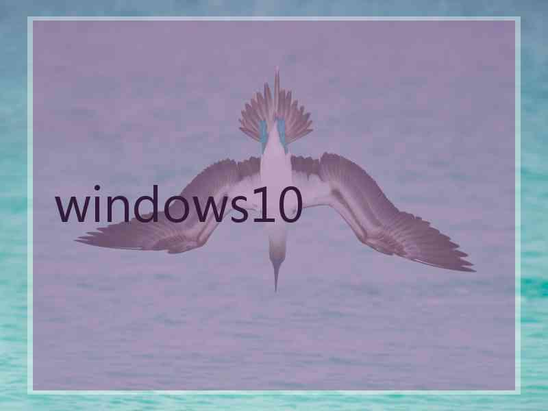 windows10