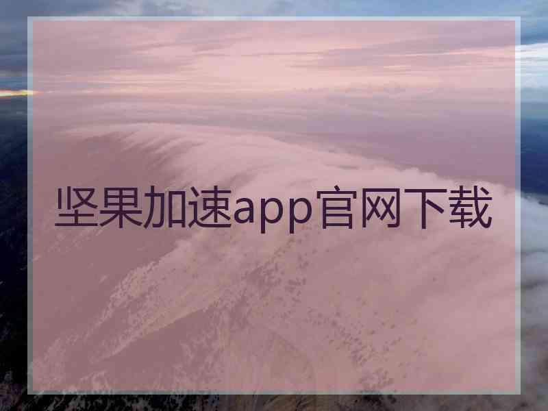 坚果加速app官网下载