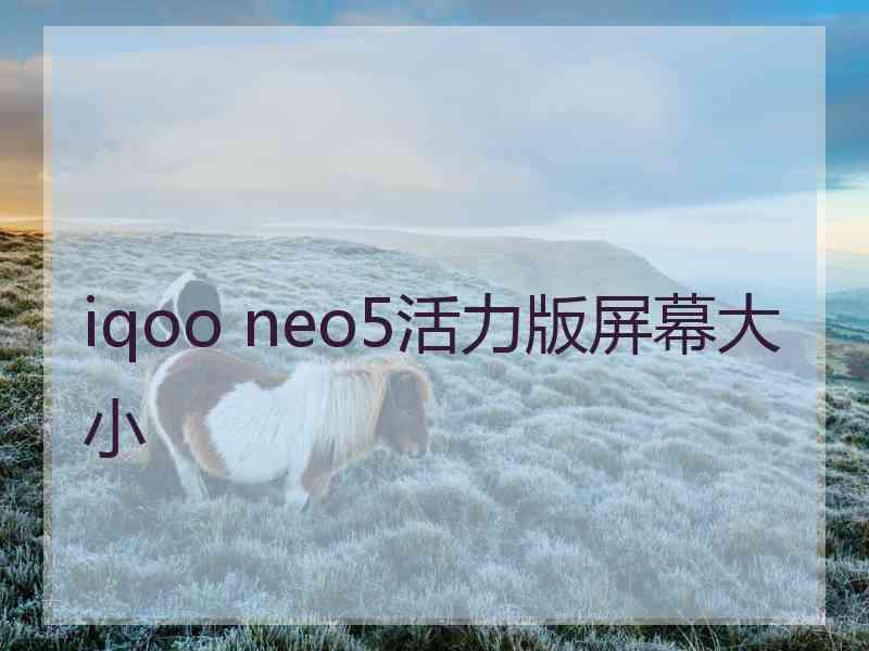 iqoo neo5活力版屏幕大小