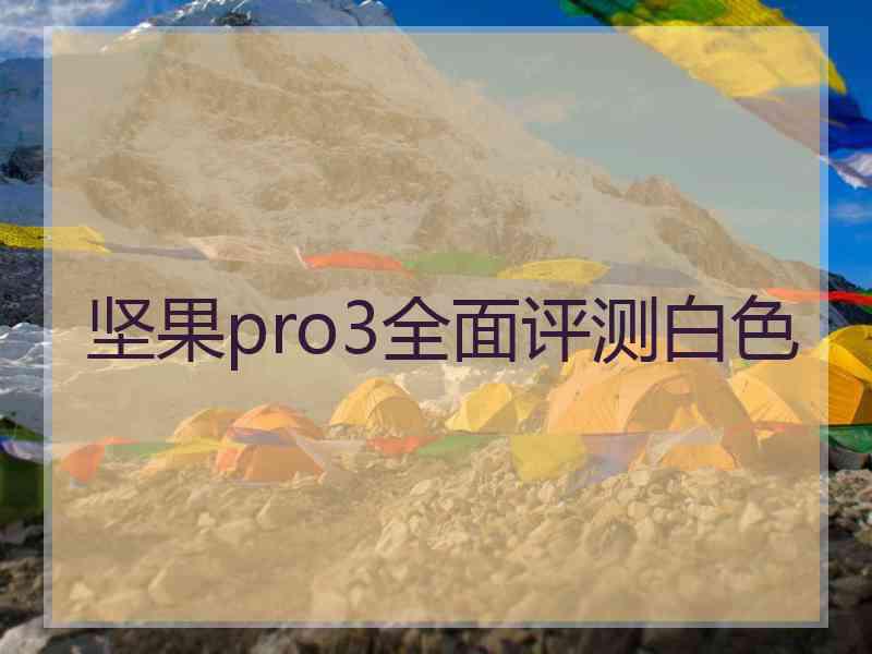 坚果pro3全面评测白色