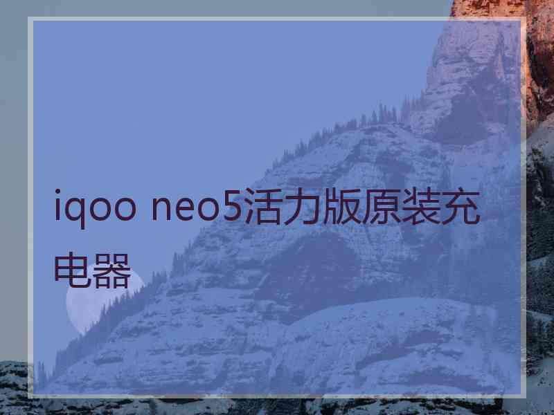 iqoo neo5活力版原装充电器