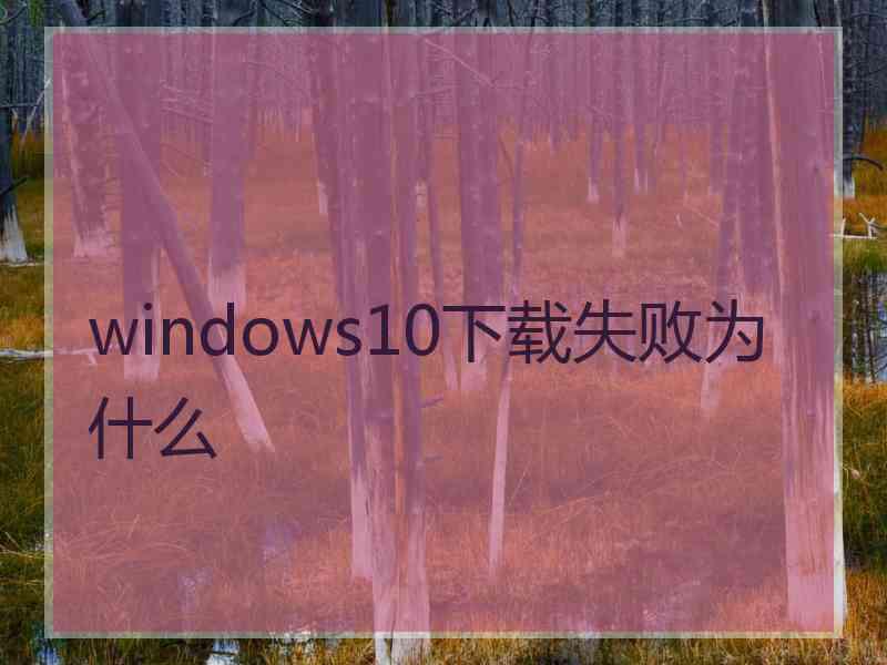 windows10下载失败为什么